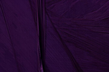 Purple abstract plastic foil background