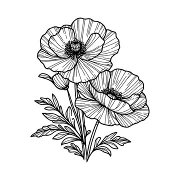 recommend clip art: line art poppy bouquet of flowers