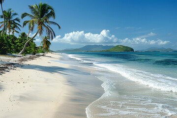 Tropical beach with palm trees and white sand on an island in the Caribbean. - obrazy, fototapety, plakaty