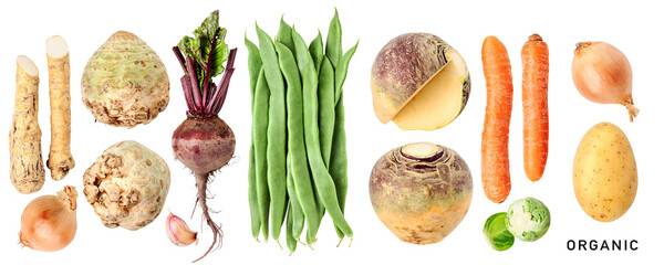 Organic healthy fresh vegetable collection isolated. PNG with transparent background. Flat lay....