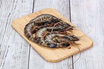 Raw tiger prawn for cooking
