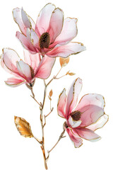 Obraz premium blossom isolated on white