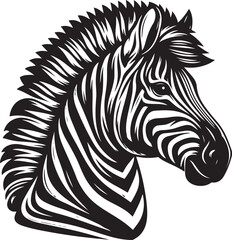 zebra illustration