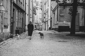 A woman strolls with two dogs along the historic cobblestone streets of Gamla Stan, Stockholm, showcasing the charm of the old city district. Black and white photography.