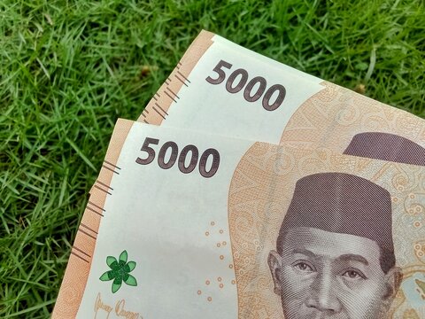Indonesian 5000 rupiah banknote on background grass.