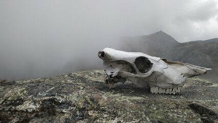 skull in the mountains