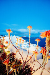 santorini santorin thira greece 