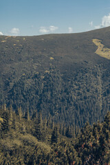 Summer day in the mountains. Mount Shpytsi, Chornohora, Carpathian Mountains