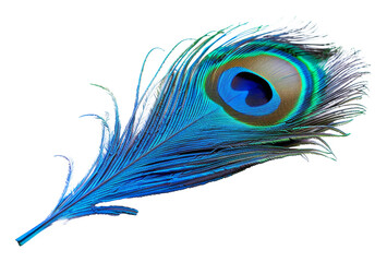 Obraz premium Vibrant peacock feather with intricate patterns isolated on transparent background