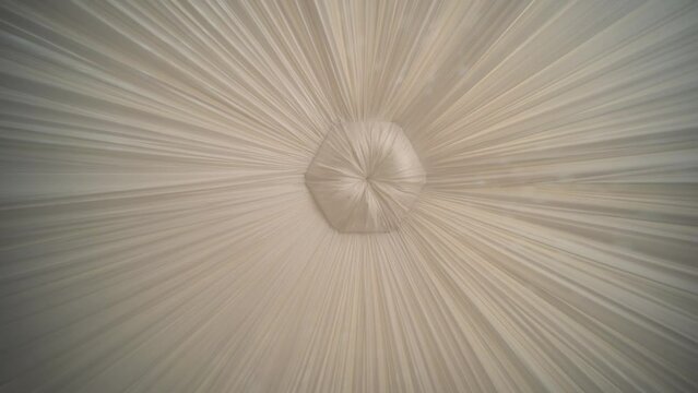 Ceiling of a wedding tent at a wedding celebration.