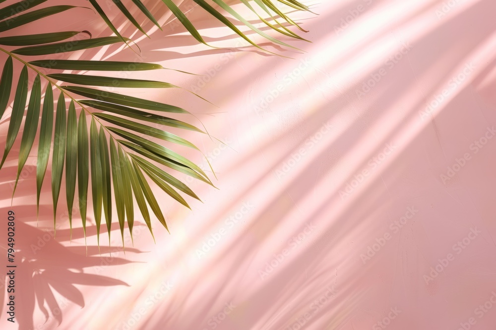 Aufkleber close-up view of a palm leaf casting a soft shadow on a light pink background
