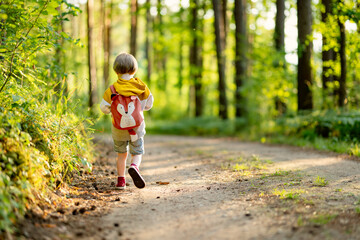 Cute little boy with a backpack having fun outdoors on sunny summer day. Child exploring nature....
