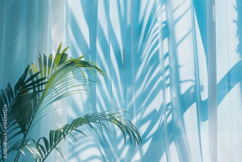 Poster closeup detail of a palm tree casting a shadow on a curtain, creating a unique pattern of light and 