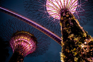 futuristic trees and bridge lit up at night at Gardens by the Bay in Singapore Marina Bay, Southeast Asia
