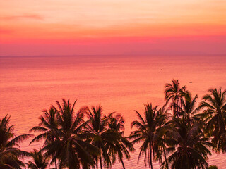 Palm Trees Silhouettes On Tropical Beach At Sunset. 