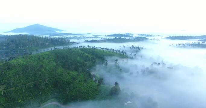 kerala god's own country    Munnar drone shot