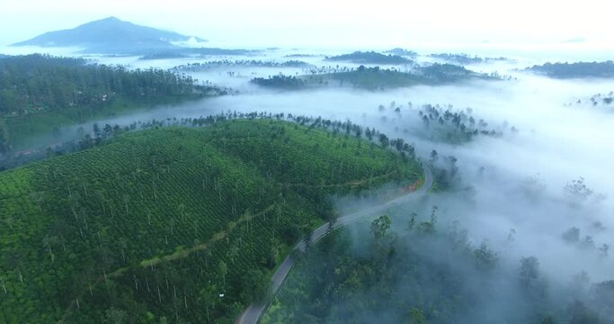 kerala god's own country    Munnar drone shot