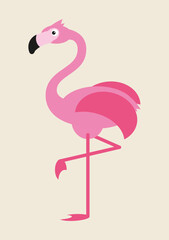 Flamingo, animal vector illustration, rare and endangered animal, bird, wild, african, asian