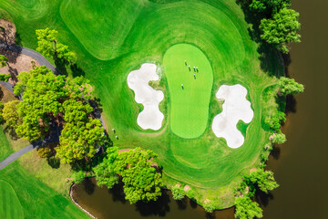 Aerial view of green grass and trees on a golf fields. green golf course in summer. Top view.