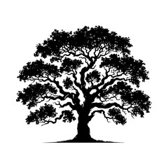  Vector Silhouette of Oak Tree- Capturing the Majestic Presence and Timeless Beauty of Nature.- Oak Tree Illustration- Oak Tree Vector