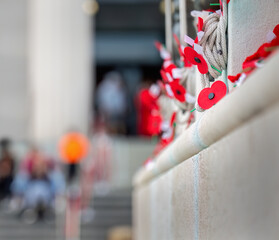 Red poppies on a wall. Unrecognizable people gathering for Anzac Day commemoration. Auckland. New Zealand. - obrazy, fototapety, plakaty