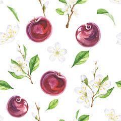 Plum botanical seamless pattern, watercolour illustration 