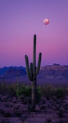 Eastern prickly pear cactus in desert landscape under full moon