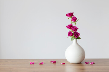 purple roses in vase on white background - 794943425