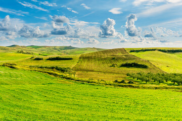 young spring field on hills of green rustic farmland with grass plants and garden. Countryside green spring or summer season landscape of farm with beautiful blue cloudy sky on background