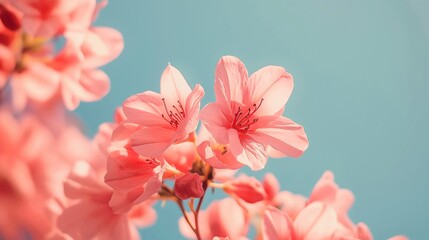 Pink blooms burst forth from branches in a beautiful spring garden.
