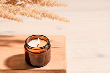 Cozy burning candle with pampas grass
