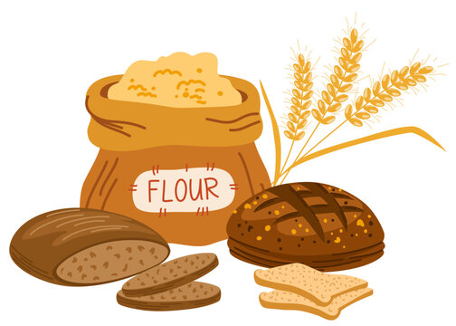 Grain food, cereal products. Bread, bakery, wheat flour in bag and bowl, pasta, cookies. Healthy carbohydrate nutritions, nutrients composition. Vector illustration isolated on white