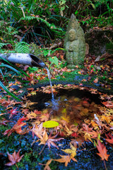 瑞泉寺山門の脇にある美しい蹲と古い石仏像。
紅葉のシーズンには石造りの水盤の周りに紅葉が散り、非常に美しい。

日本国神奈川県鎌倉市にて。
2021年12月19日撮影。

二階堂にある瑞泉寺。
鎌倉時代1327年創建。
鎌倉でも随一の花の寺、紅葉の寺として有名。
境内は日本国の史跡に指定され、庭園は日本国の名勝となっている。日本国の重要文化財の坐像なども多くある。

A beautiful sto
