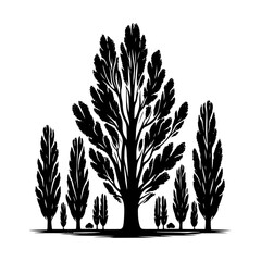 Vector Silhouette of Poplar Tree Illustrating Nature's Verdant Elegance- Illustration of Poplar Tree- Silhouette of poplar tree.