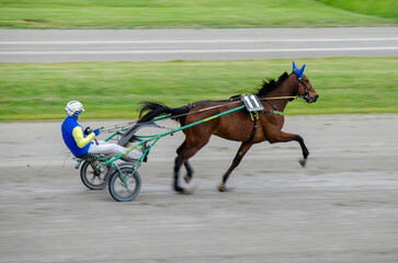 Racing horses trots and rider on a track of stadium. Competitions for trotting horse racing. Horses compete in harness racing. Horse runing at the track with rider.
