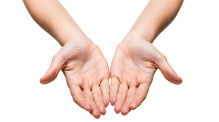 flat human open hands holding or presenting something isolated on white or transparent png