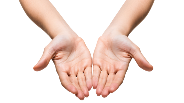 flat human open hands holding or presenting something isolated on white or transparent png