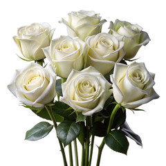 Fototapeta premium Elegant white roses bouquet on a seamless backdrop