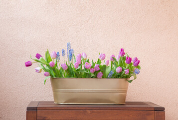 spring flowers in metal pot on background wall