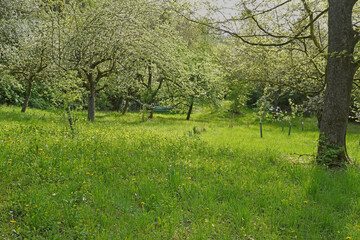 Obstgarten