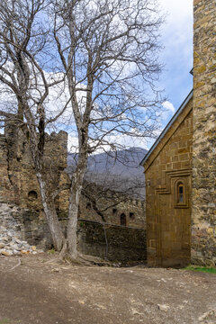 Inside the Ananuri Fortress, Georgia. Church and defensive wall. Tree without leaves