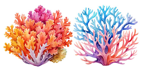 set of sea coral watercolor picture of marine life, ocean elements, on transparent background