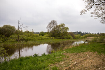 Frühling