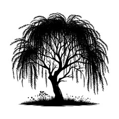 Willow Tree Vector Silhouette Evoking the Serene Beauty of Nature's Graceful Tree- Willow Tree Illustration. © Wolfe 