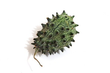 
African cucumber, Kiwana fruit or horned melon isolated on white
