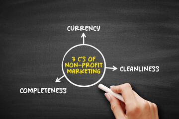 3 C's of Non Profit Marketing (adapting business marketing concepts and strategies to promote the...