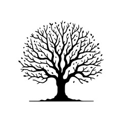 Walnut Tree Vector Silhouette Illustrating the Tranquil Presence of Nature- Nut-Bearing Tree- Walnut Tree Illustration.