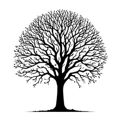 Walnut Tree Vector Silhouette Illustrating the Tranquil Presence of Nature- Nut-Bearing Tree- Walnut Tree Illustration.