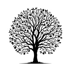 Walnut Tree Vector Silhouette Illustrating the Tranquil Presence of Nature- Nut-Bearing Tree- Walnut Tree Illustration.