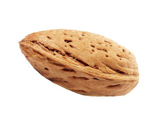 Nut shell isolated on transparent layered background.